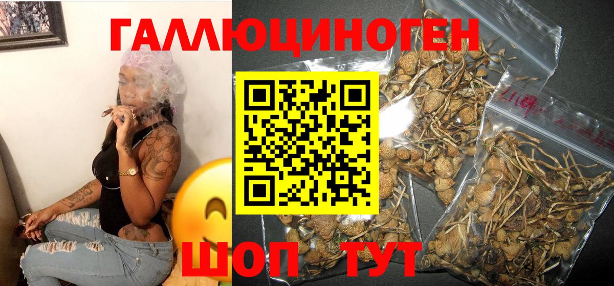 Псилоцибиновые грибы MAGIC MUSHROOMS  Вход с VPN  магазин  наркотиков  Черногорск 