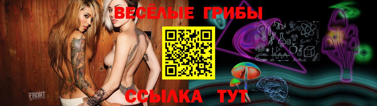 Псилоцибиновые грибы мухоморы Черногорск